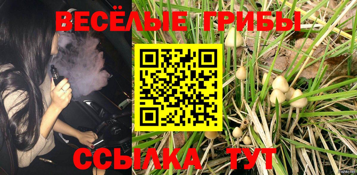 Галлюциногенные грибы GOLDEN TEACHER Анапа